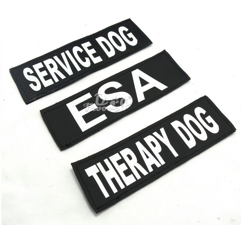 Arnés para Perros – Cómodo y Ajustable | Tallas XS a XXL | 8 Colores