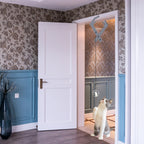 Juguete Pelota Elástica con Clip para Puerta – Entretenimiento Autónomo para Gatos